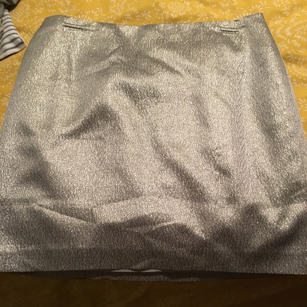 Ann Taylor Silver mini skirt new with out tags
